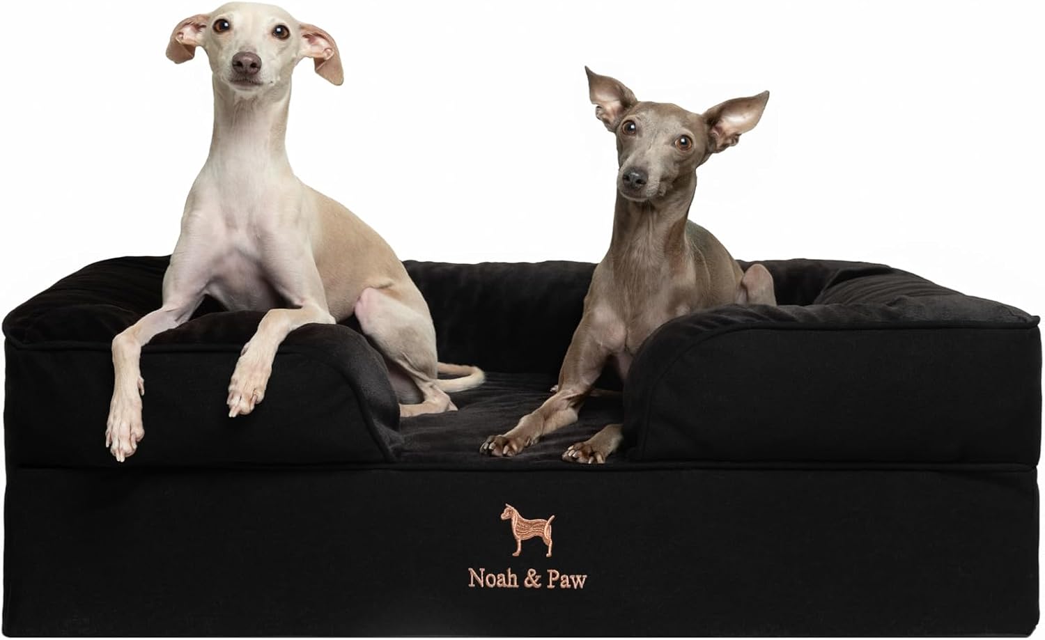 NOAH & PAW Giant Dog Bed XXL, 55x45x11 Inch, Orthopedic Dog Beds, Eggshell Memory Foam Infused with Cooling Gel, Inner Cover, Water Resistant, Machine Washable (Velvet Sofa Collection)