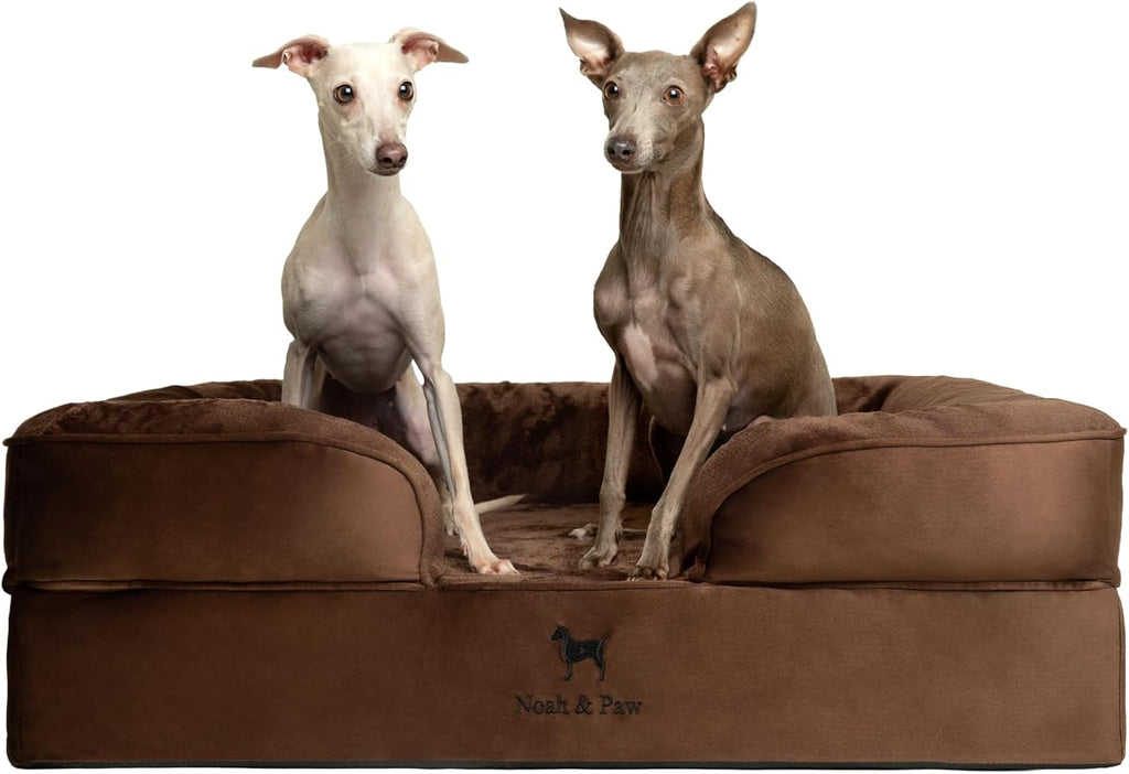 NOAH & PAW Giant Dog Bed XXL, 55x45x11 Inch, Orthopedic Dog Beds, Eggshell Memory Foam Infused with Cooling Gel, Inner Cover, Water Resistant, Machine Washable (Velvet Sofa Collection)