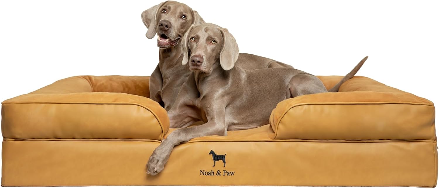 NOAH & PAW Giant Dog Bed XXL, 55x45x11 Inch, Orthopedic Dog Beds, Eggshell Memory Foam Infused with Cooling Gel, Inner Cover, Water Resistant, Machine Washable (Velvet Sofa Collection)