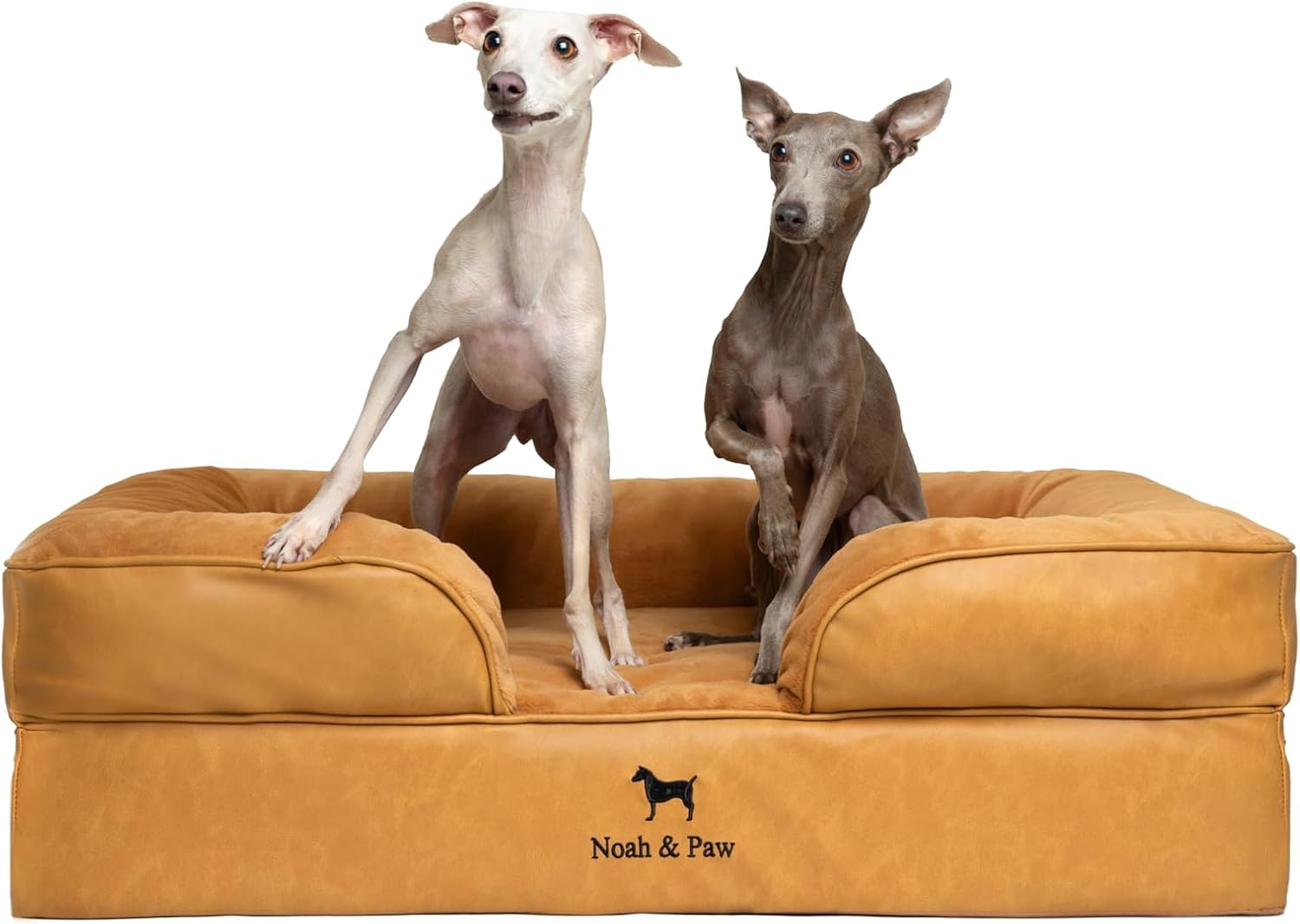 NOAH & PAW Giant Dog Bed XXL, 55x45x11 Inch, Orthopedic Dog Beds, Eggshell Memory Foam Infused with Cooling Gel, Inner Cover, Water Resistant, Machine Washable (Velvet Sofa Collection)