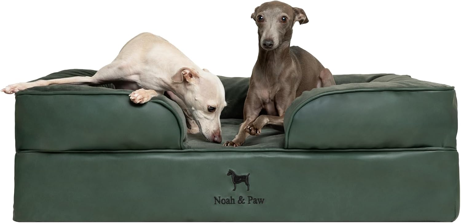 NOAH & PAW Giant Dog Bed XXL, 55x45x11 Inch, Orthopedic Dog Beds, Eggshell Memory Foam Infused with Cooling Gel, Inner Cover, Water Resistant, Machine Washable (Velvet Sofa Collection)
