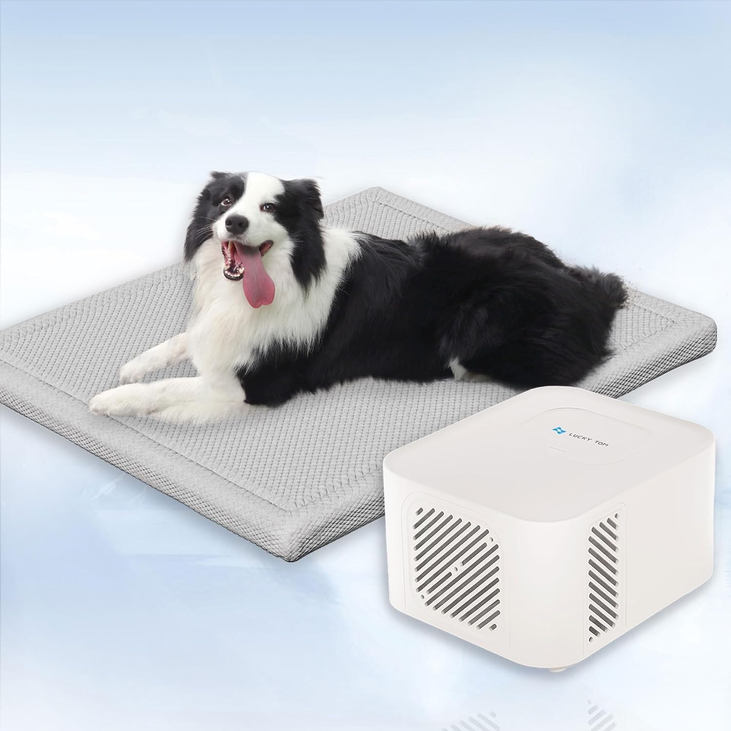 Pet Pad Cooling System for Summer, Consistent Cooling Water Mat for Dogs and Cats, No Refrigeration or Chemical Gel Needed, Machine Washable Bed, Ideal for Home and Crates (Gray, XL)