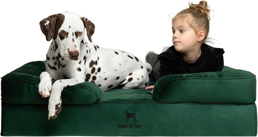 NOAH & PAW Giant Dog Bed XXL, 55x45x11 Inch, Orthopedic Dog Beds, Eggshell Memory Foam Infused with Cooling Gel, Inner Cover, Water Resistant, Machine Washable (Velvet Sofa Collection)