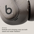 Beats Powerbeats Fit - Wireless Noise Cancelling Workout Earbuds with Secure-Fit Wingtips, Up to 30-Hour Battery Life, Sweat & Water Resistant, Apple & Android Compatible - Gravel Gray
