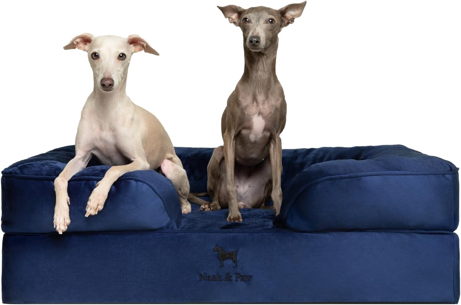 NOAH & PAW Giant Dog Bed XXL, 55x45x11 Inch, Orthopedic Dog Beds, Eggshell Memory Foam Infused with Cooling Gel, Inner Cover, Water Resistant, Machine Washable (Velvet Sofa Collection)