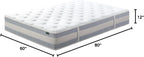 Zinus 12 Inch Comfort Support Hybrid Mattress [New Version], Queen, Fiberglass Free, Medium Plush, Motion Isolation, Certified Safe Foams & Fabric, Mattress in A Box