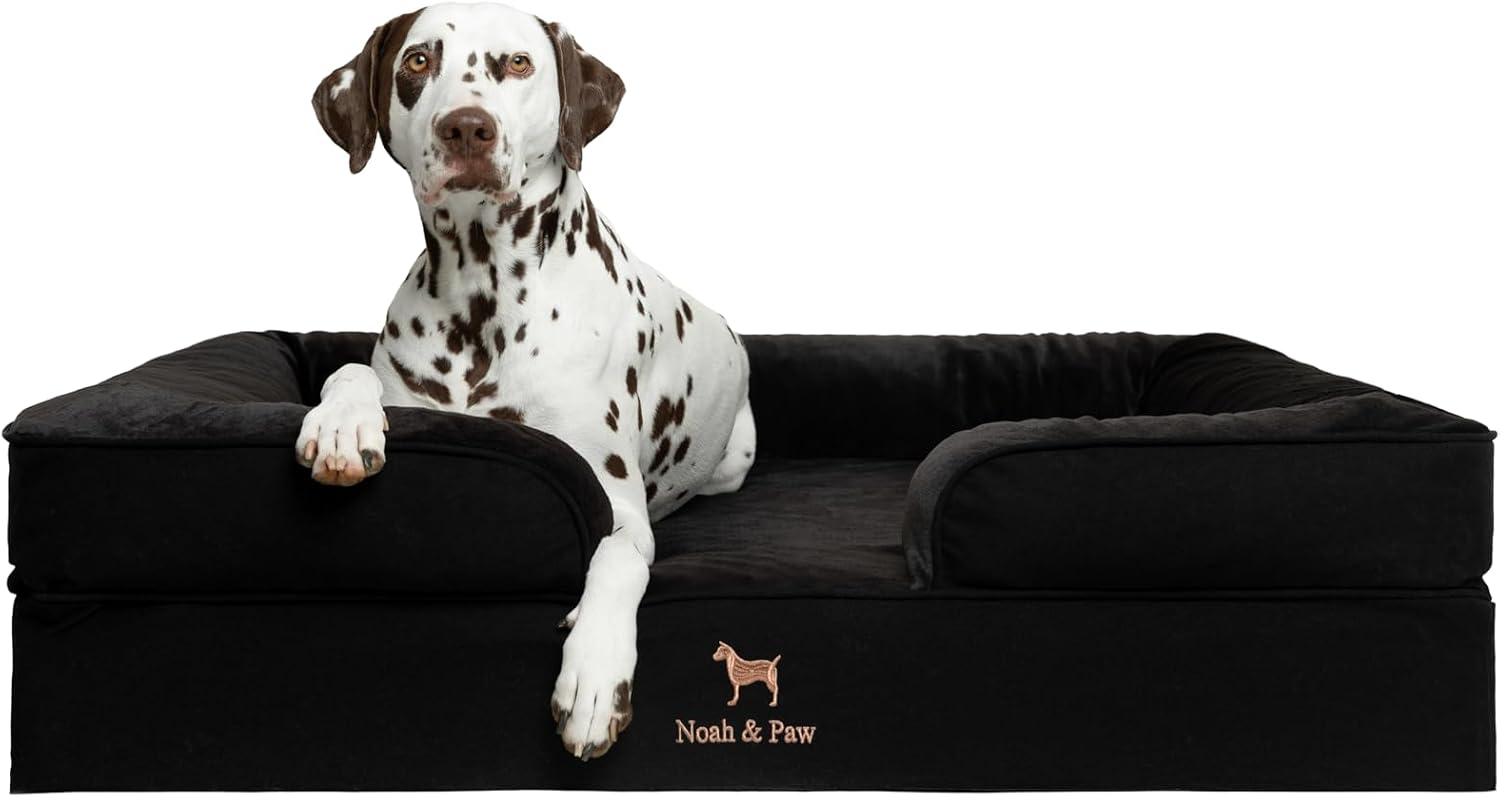 NOAH & PAW Giant Dog Bed XXL, 55x45x11 Inch, Orthopedic Dog Beds, Eggshell Memory Foam Infused with Cooling Gel, Inner Cover, Water Resistant, Machine Washable (Velvet Sofa Collection)