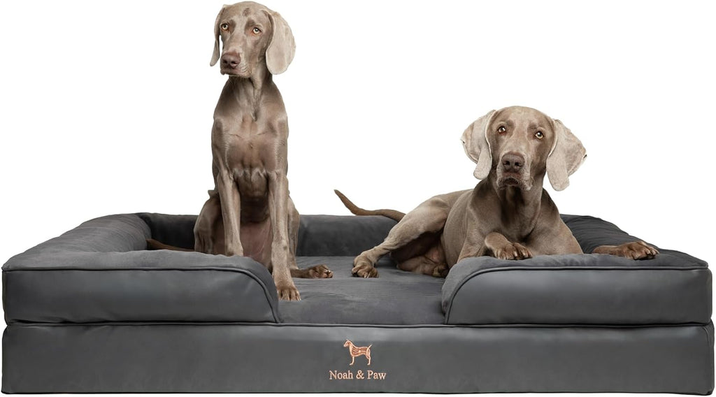 NOAH & PAW Giant Dog Bed XXL, 55x45x11 Inch, Orthopedic Dog Beds, Eggshell Memory Foam Infused with Cooling Gel, Inner Cover, Water Resistant, Machine Washable (Velvet Sofa Collection)