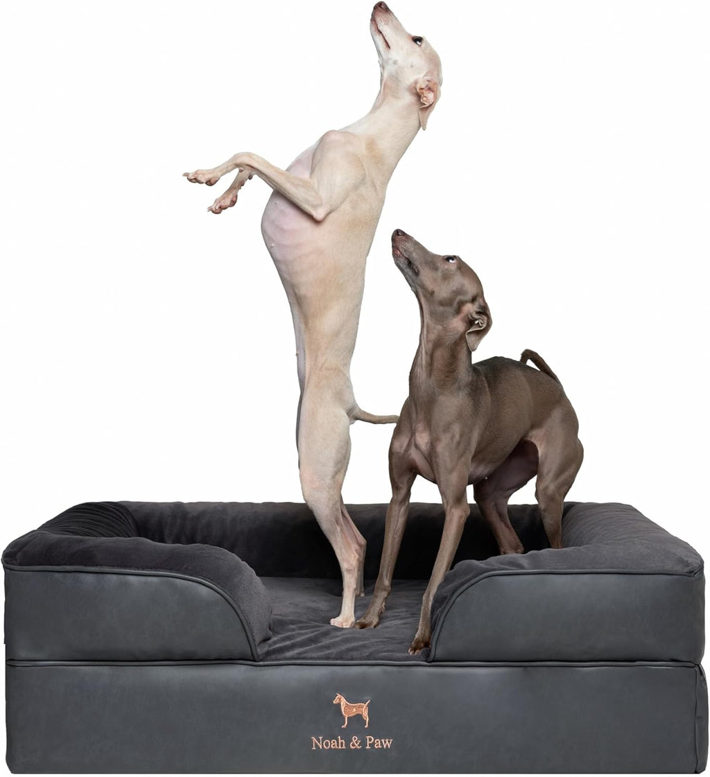 NOAH & PAW Giant Dog Bed XXL, 55x45x11 Inch, Orthopedic Dog Beds, Eggshell Memory Foam Infused with Cooling Gel, Inner Cover, Water Resistant, Machine Washable (Velvet Sofa Collection)