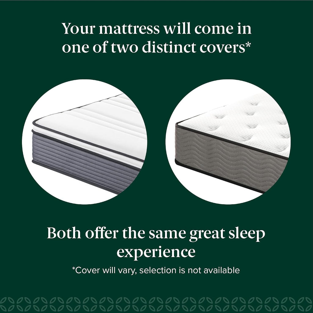 ZINUS 10 Inch True Support Hybrid Mattress [New Version], Queen, Fiberglass Free, Medium Feel, Motion Isolation, Certified Safe Foams & Fabric, Mattress in A Box