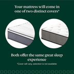 ZINUS 10 Inch True Support Hybrid Mattress [New Version], Queen, Fiberglass Free, Medium Feel, Motion Isolation, Certified Safe Foams & Fabric, Mattress in A Box