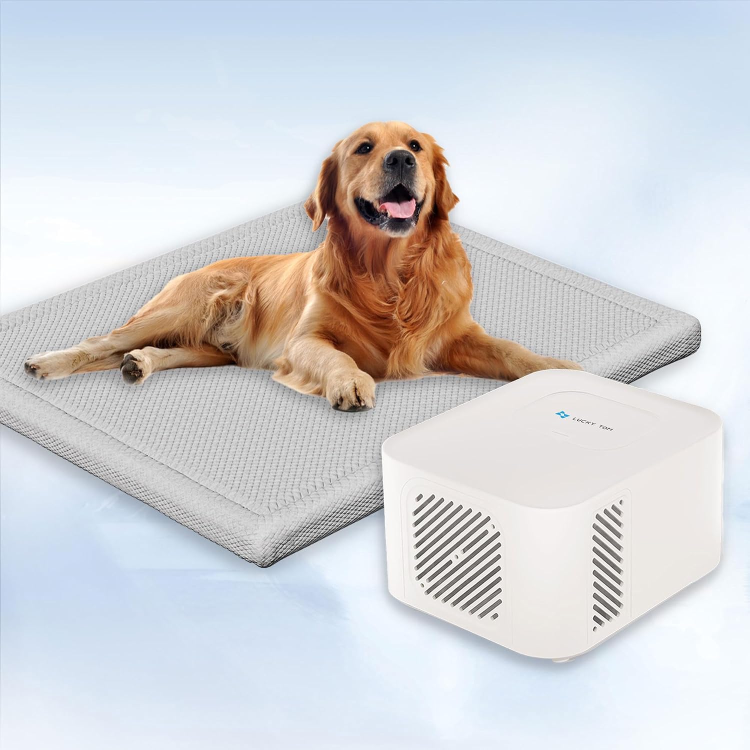Pet Pad Cooling System for Summer, Consistent Cooling Water Mat for Dogs and Cats, No Refrigeration or Chemical Gel Needed, Machine Washable Bed, Ideal for Home and Crates (Gray, XL)