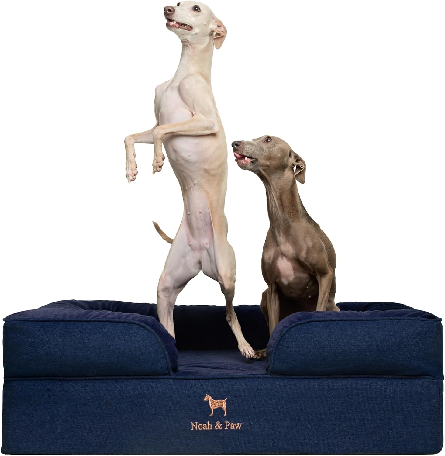 NOAH & PAW Giant Dog Bed XXL, 55x45x11 Inch, Orthopedic Dog Beds, Eggshell Memory Foam Infused with Cooling Gel, Inner Cover, Water Resistant, Machine Washable (Velvet Sofa Collection)