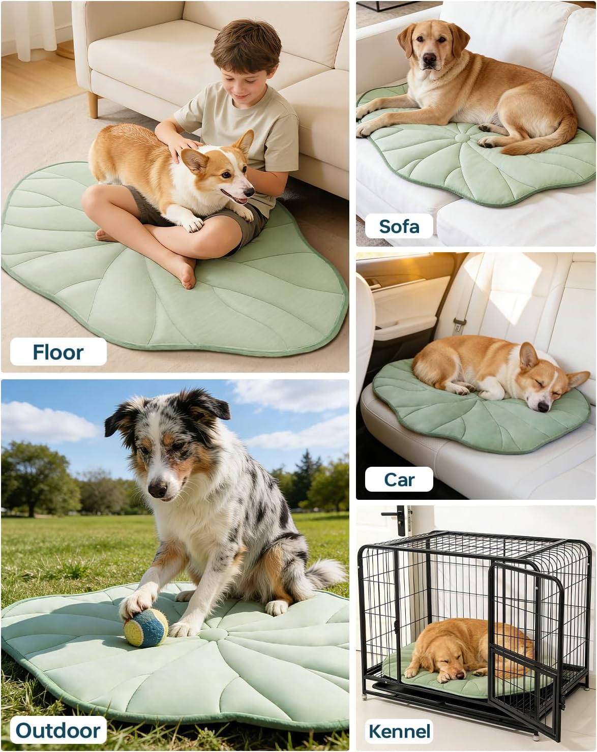 BG-BABYGO Dog Cooling Mat, 48" x 28" Reversible Self Cooling Mat for Large Dogs, Washable Arc-Chill Cooling Pad for Pets 2.0 Summer Pet Cooling Pad for Crate Kennel Sofa Floor Outdoor Portable Green
