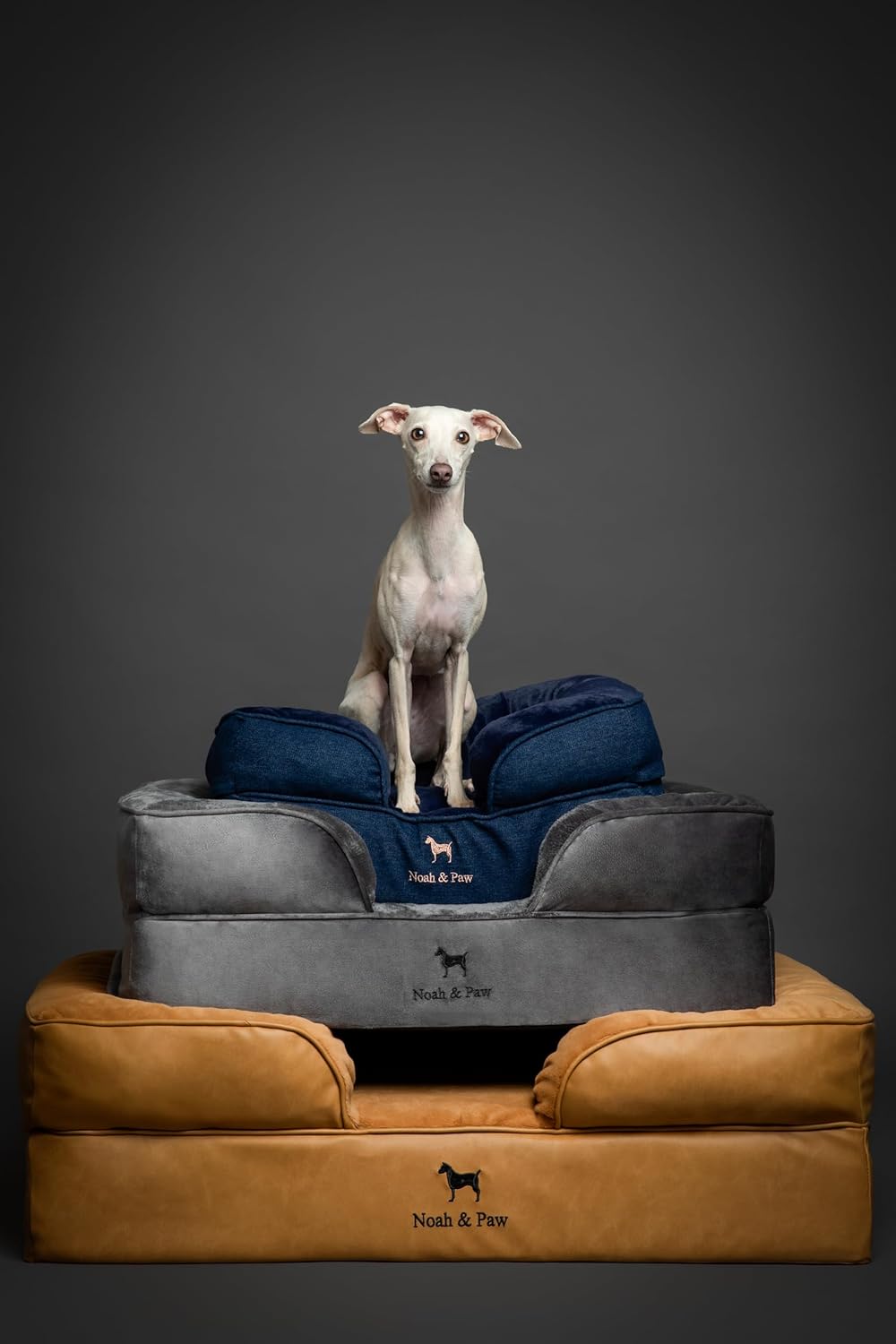 NOAH & PAW Giant Dog Bed XXL, 55x45x11 Inch, Orthopedic Dog Beds, Eggshell Memory Foam Infused with Cooling Gel, Inner Cover, Water Resistant, Machine Washable (Velvet Sofa Collection)