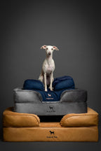 NOAH & PAW Giant Dog Bed XXL, 55x45x11 Inch, Orthopedic Dog Beds, Eggshell Memory Foam Infused with Cooling Gel, Inner Cover, Water Resistant, Machine Washable (Velvet Sofa Collection)