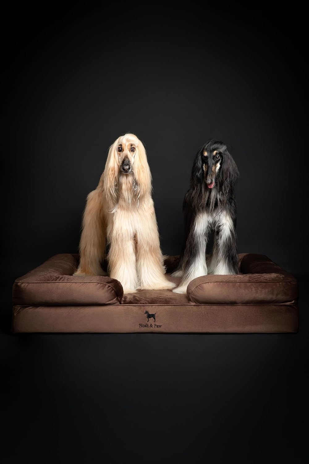 NOAH & PAW Giant Dog Bed XXL, 55x45x11 Inch, Orthopedic Dog Beds, Eggshell Memory Foam Infused with Cooling Gel, Inner Cover, Water Resistant, Machine Washable (Velvet Sofa Collection)
