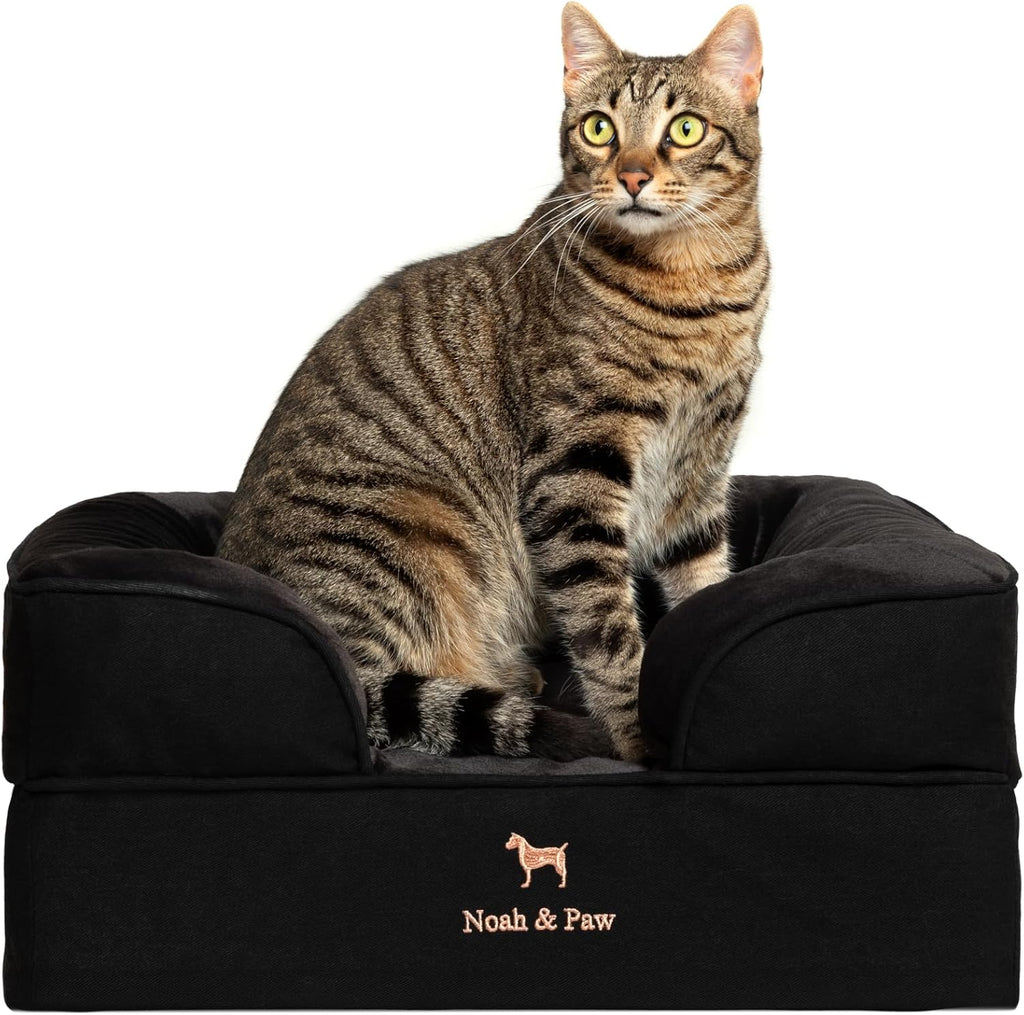 NOAH & PAW Giant Dog Bed XXL, 55x45x11 Inch, Orthopedic Dog Beds, Eggshell Memory Foam Infused with Cooling Gel, Inner Cover, Water Resistant, Machine Washable (Velvet Sofa Collection)