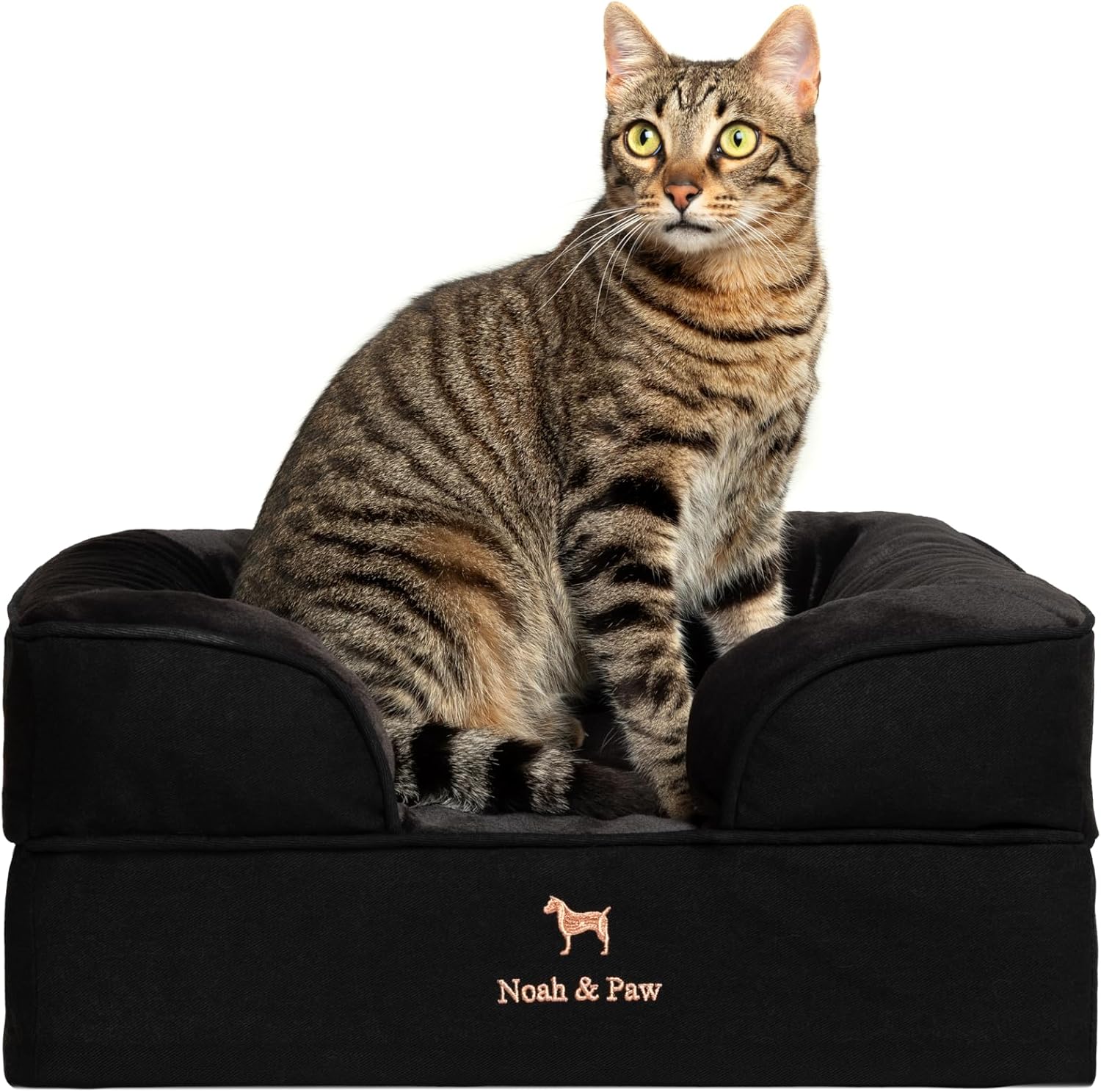 NOAH & PAW Giant Dog Bed XXL, 55x45x11 Inch, Orthopedic Dog Beds, Eggshell Memory Foam Infused with Cooling Gel, Inner Cover, Water Resistant, Machine Washable (Velvet Sofa Collection)