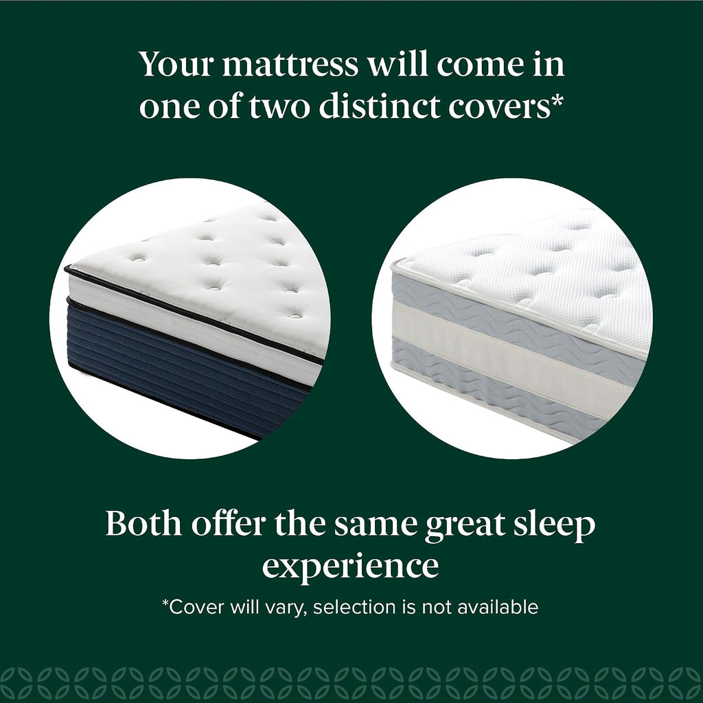 Zinus 12 Inch Comfort Support Hybrid Mattress [New Version], Queen, Fiberglass Free, Medium Plush, Motion Isolation, Certified Safe Foams & Fabric, Mattress in A Box