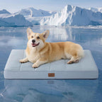 Bedsure Cooling Dog Bed for Crate, Large Breathable Pet Summer Bed, 35 Inch | Orthopedic Egg Crate Foam, Cold Summer Pad Mat, Non-Slip Bottom, Comfy Removable Washable Cover, For Pets Up to 50 lbs