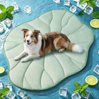BG-BABYGO Dog Cooling Mat, 48" x 28" Reversible Self Cooling Mat for Large Dogs, Washable Arc-Chill Cooling Pad for Pets 2.0 Summer Pet Cooling Pad for Crate Kennel Sofa Floor Outdoor Portable Green