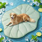 BG-BABYGO Dog Cooling Mat, 48" x 28" Reversible Self Cooling Mat for Large Dogs, Washable Arc-Chill Cooling Pad for Pets 2.0 Summer Pet Cooling Pad for Crate Kennel Sofa Floor Outdoor Portable Green