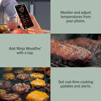Ninja FlexFlame ProConnect Grill & Smoker | 5-in-1 Smart Cooking System | Electric & Propane | App-Connected | 3-Burner Digital Control | Roast, Griddle & Pizza Maker | Black/Gold | PG305