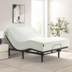 Zinus Nadia Adjustable Bed Frame, Electric Reclining Platform Bed Base, 5-Function Wireless Remote, Independent Head and Foot Incline, Easy, Tool-Free Assembly, Queen