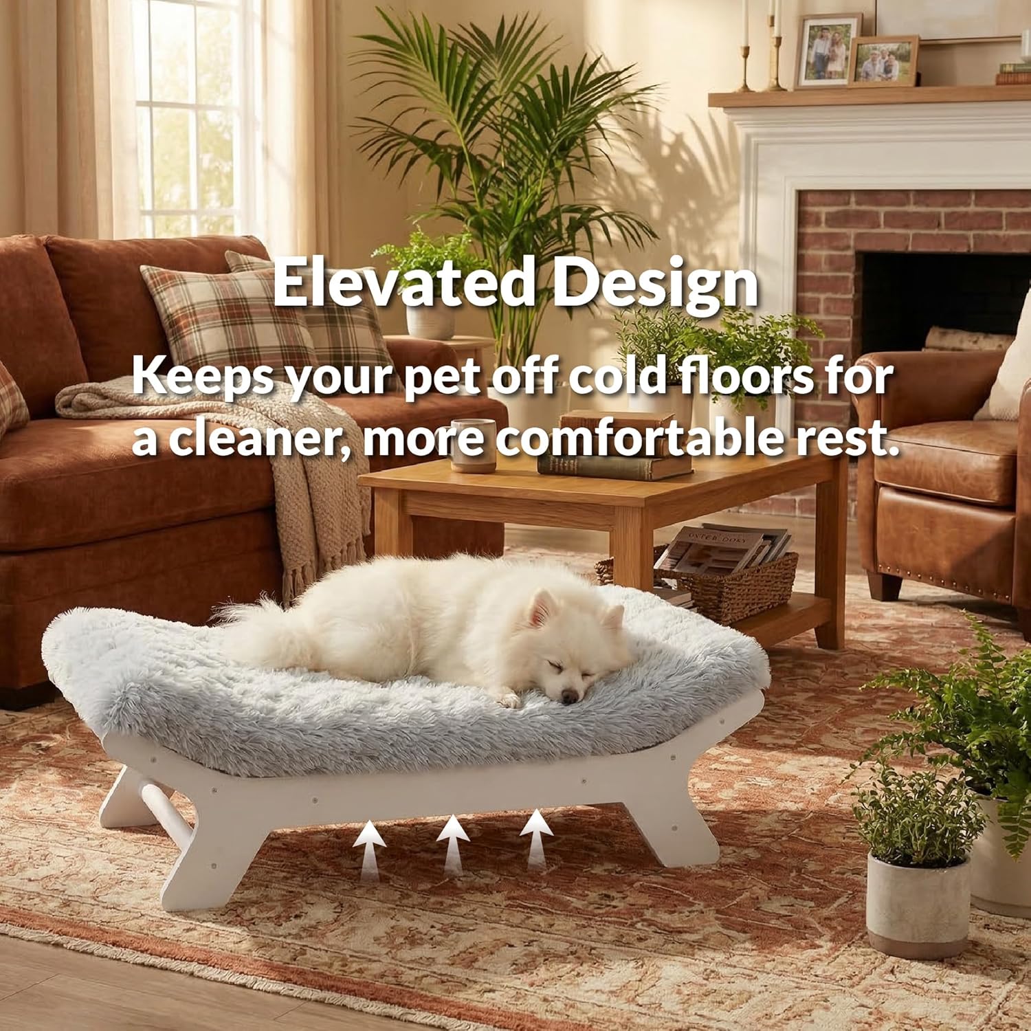 Muihood Elevated Wooden Dog Bed with Foam Mattress, Walnut, X-Large | Raised Dog Bed with Washable Cover, Supportive Foam Mattress, Perfect for X-Large Dogs and Indoor Living