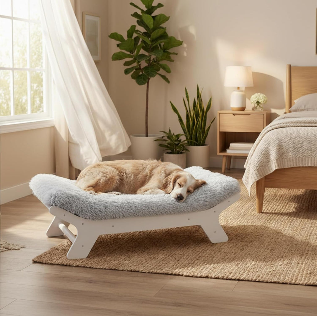 Muihood Elevated Wooden Dog Bed with Foam Mattress, Walnut, X-Large | Raised Dog Bed with Washable Cover, Supportive Foam Mattress, Perfect for X-Large Dogs and Indoor Living