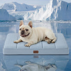 Bedsure Cooling Dog Bed for Crate, Large Breathable Pet Summer Bed, 35 Inch | Orthopedic Egg Crate Foam, Cold Summer Pad Mat, Non-Slip Bottom, Comfy Removable Washable Cover, For Pets Up to 50 lbs