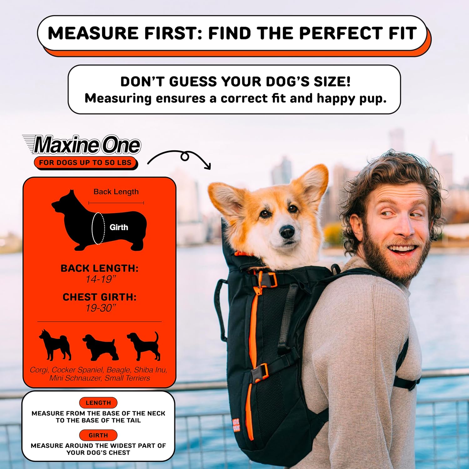 Maxine One Dog Backpack Carrier for Medium Dogs by Little Chonk | Adjustable & Ergonomic Front Facing Dog Carrier Backpack | Built to be Safer | Pet Backpack Carrier Featured in Wired Magazine - Black