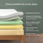 Zinus Green Tea Memory Foam Mattress 10 Inch, Pressure-Relieving Comfort & Full-Body Support, Naturally Fresh, Medium Firm Feel, CertiPUR-US & Oeko-TEX Certified Safe Materials, Queen