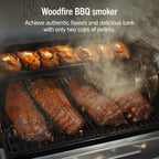 Ninja FlexFlame, Grill and Smoker, Electric and Propane Grill, Roaster, BBQ Grill, 5-in-1 Cooking System, 3 Burner, Digital Control, Outdoor Cooking, Griddle, Pizza Maker, Stainless Steel, PG301