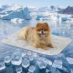 LE SURE Dog Cooling Mat for Extra Large Dogs -Q-Max>0.5 XL Breathable Thin Cool Crate Pad with Chill Cold Fiber and Innovative Mesh Base Design, Portable Washable Pet Kennel Mat for Summer,44x30,Blue