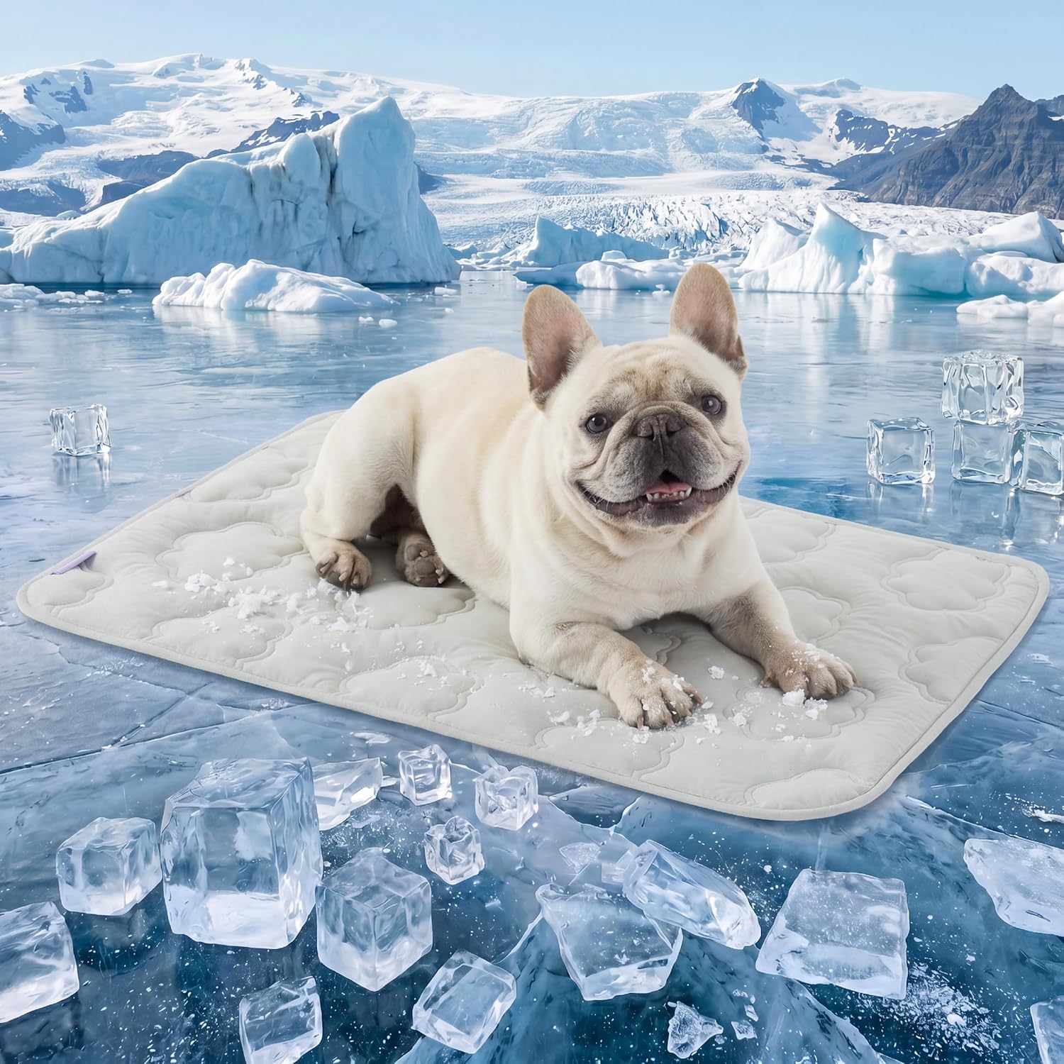 LE SURE Dog Cooling Mat for Extra Large Dogs -Q-Max>0.5 XL Breathable Thin Cool Crate Pad with Chill Cold Fiber and Innovative Mesh Base Design, Portable Washable Pet Kennel Mat for Summer,44x30,Blue