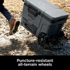 Ninja | Cooler | FrostVault 45QT Cooler with Wheels | Insulated with Temp Dry Storage Drawer | Keeps Ice Cold for Days | for the Beach, Camping, Picnics & More | Grey | FB245CG